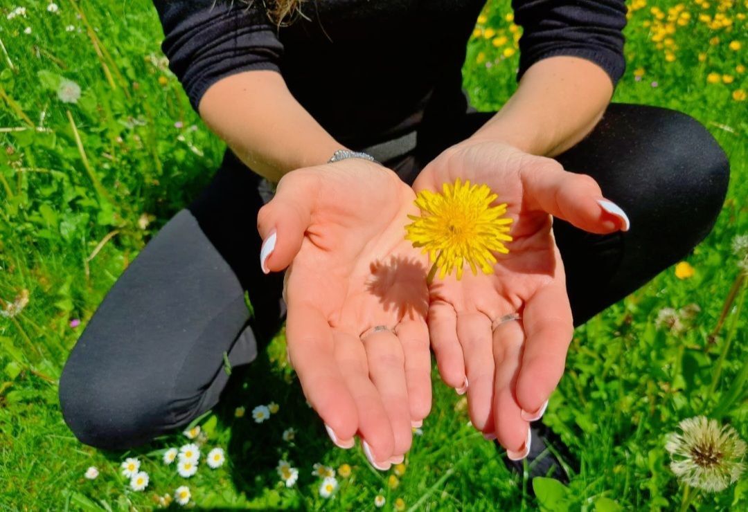 selective focus photography of woman holding yellow petaled flowers